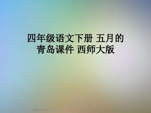 四年级语文下册 五月的青岛课件 西师大版