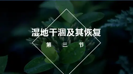 4.3 湿地干涸及其恢复 课件-人教版高中地理选修六