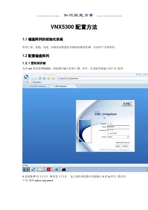 VNX5300存储配置
