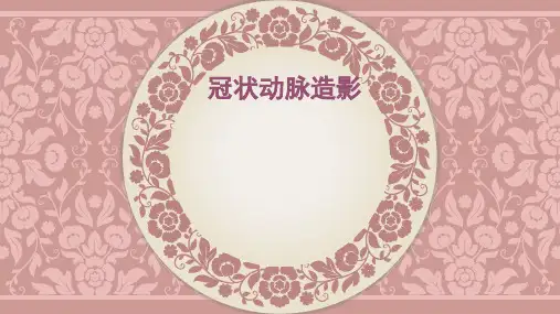 冠脉造影ppt课件