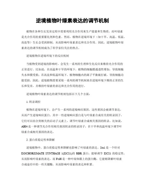 逆境植物叶绿素表达的调节机制