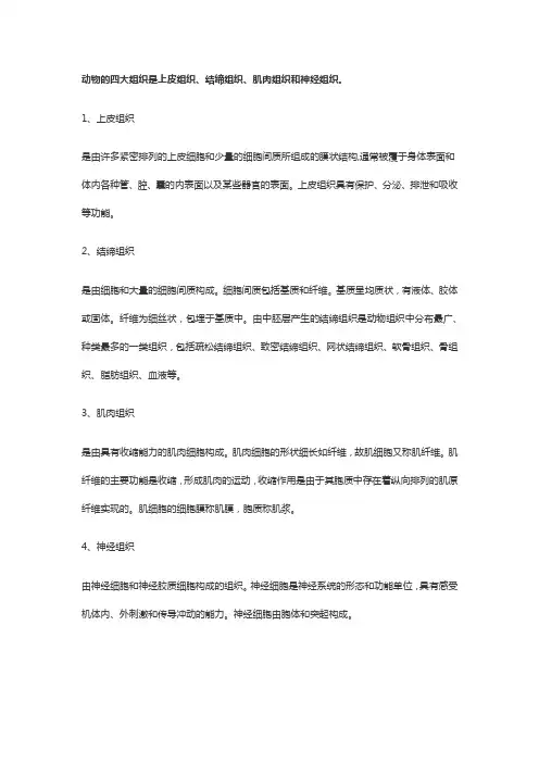 动物体的四大组织