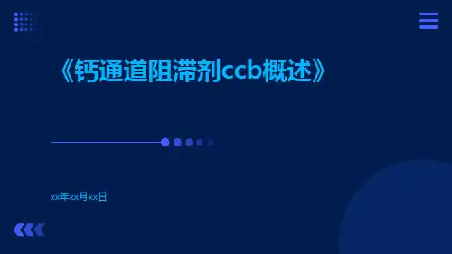 钙通道阻滞剂CCB概述