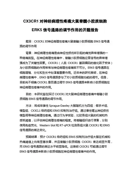CX3CR1对神经病理性疼痛大鼠脊髓小胶质细胞ERK5信号通路的调节作用的开题报告