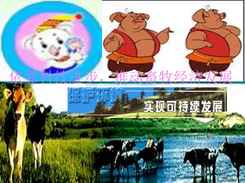 动物消化系统ppt课件