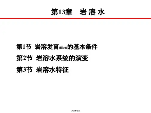 第13章 岩溶水