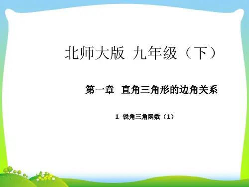 新北师大版九年级数学下册第一章《锐角三角函数(1)》公开课课件.ppt