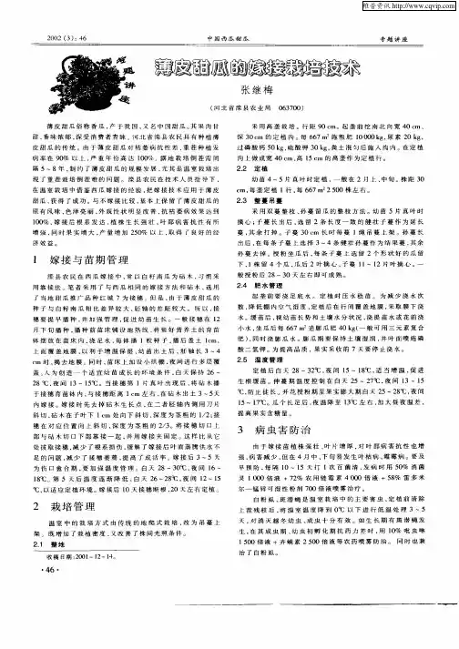 薄皮甜瓜的嫁接栽培技术