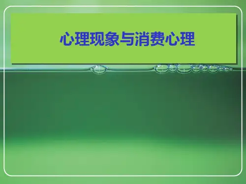 消费心理学(第三版)消费者的心理活动过程