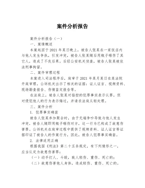 案件分析报告