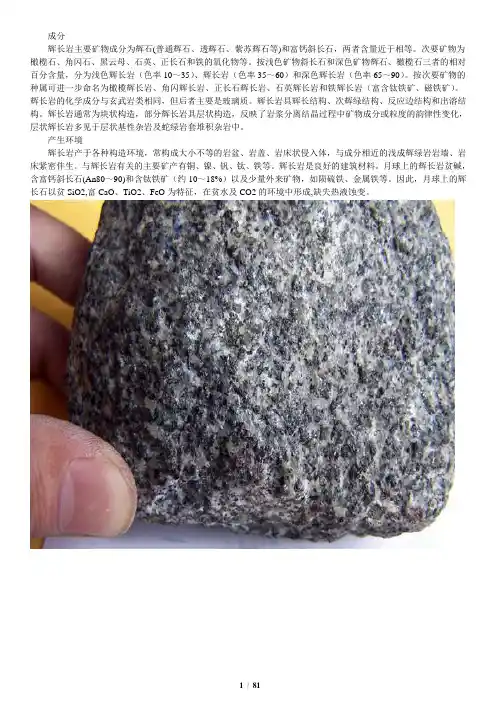标准岩石图集、说明及排版 2