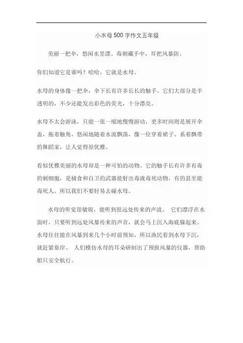 小水母500字作文五年级