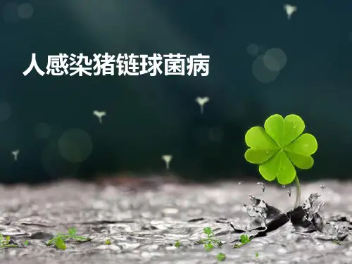 人感染猪链球菌病