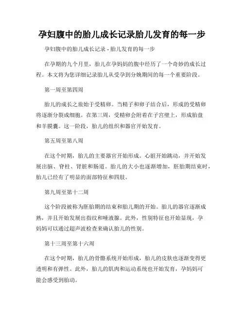 孕妇腹中的胎儿成长记录胎儿发育的每一步