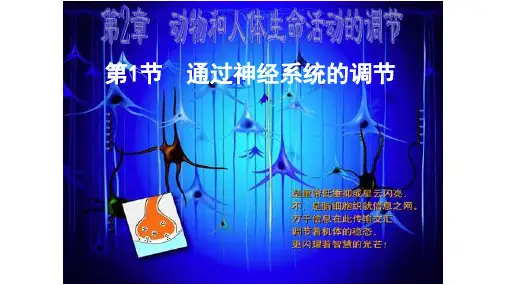 高中生物必修三----神经调节   第一课