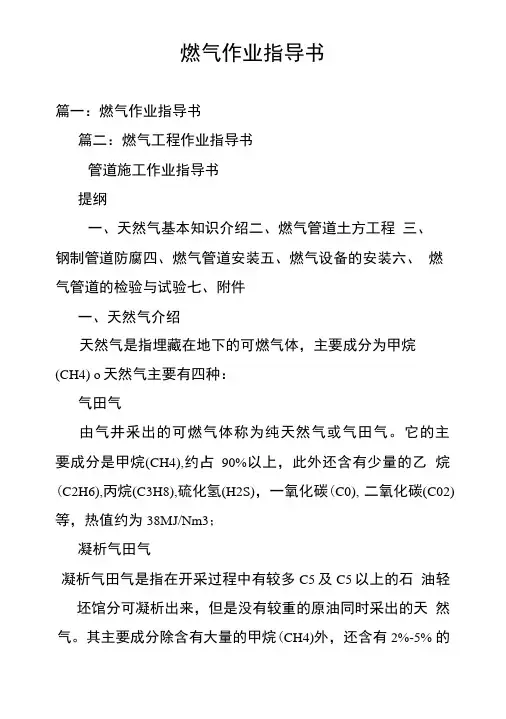 燃气作业指导书.doc