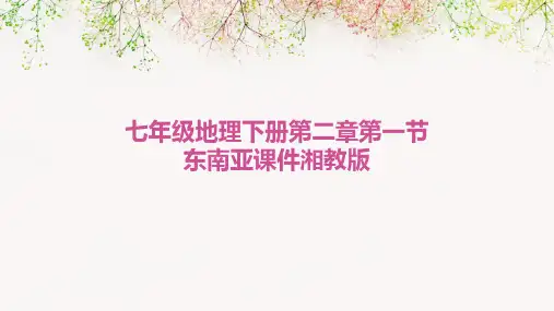 七年级地理下册第二章第一节东南亚课件湘教版