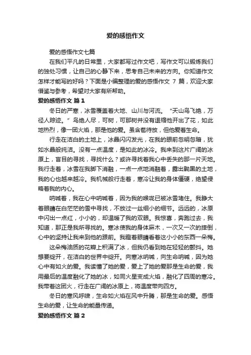 爱的感悟作文七篇