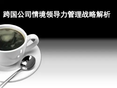 跨国公司情境领导力管理战略解析