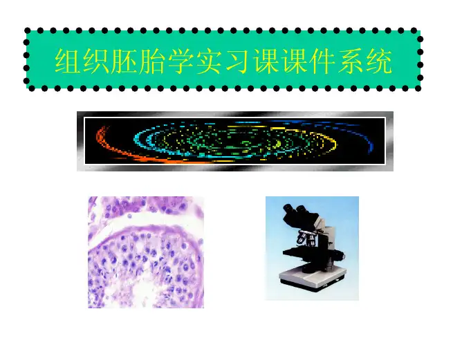 组织胚胎学实习课课件系统