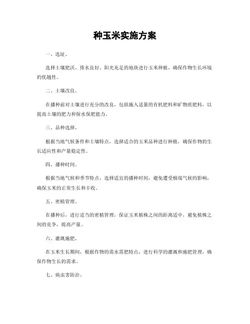 种玉米实施方案