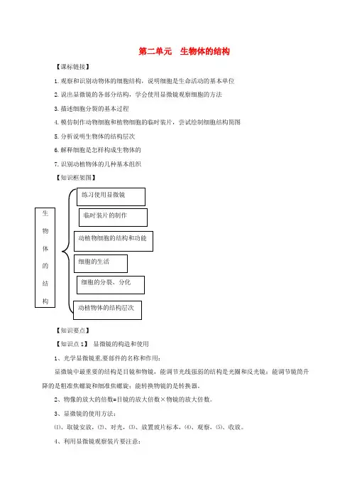 七年级生物上册 第二单元  生物体的结构知识点归纳 (新版)北师大版