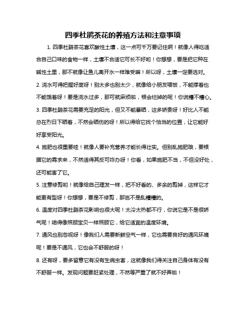 四季杜鹃茶花的养殖方法和注意事项