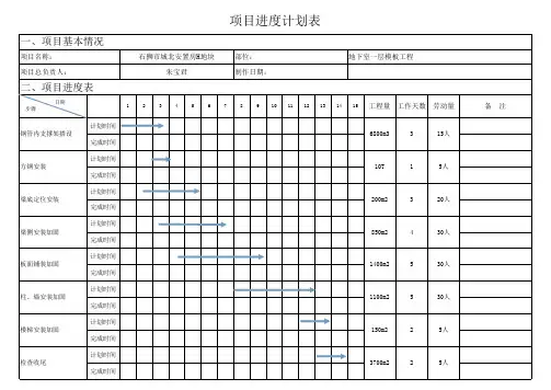 项目进度计划表(模板)