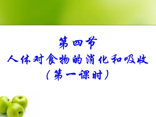生物七年级上册人体对食物的消化和吸收课件