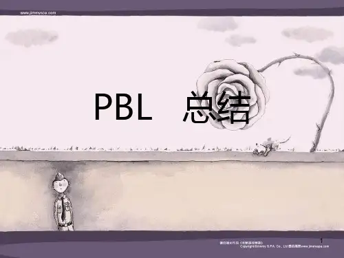 PBL三案例总结PPT课件