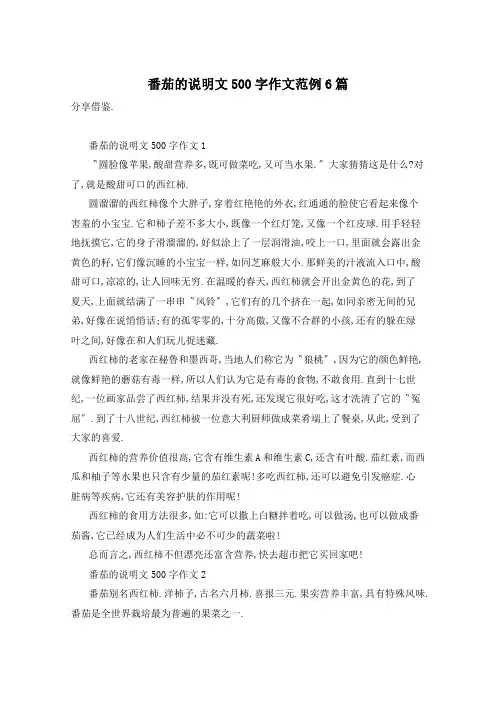番茄的说明文500字作文范例6篇