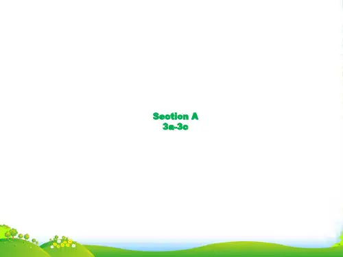 人教版九年级新目标Unit 10 A3a-3c (12张PPT)