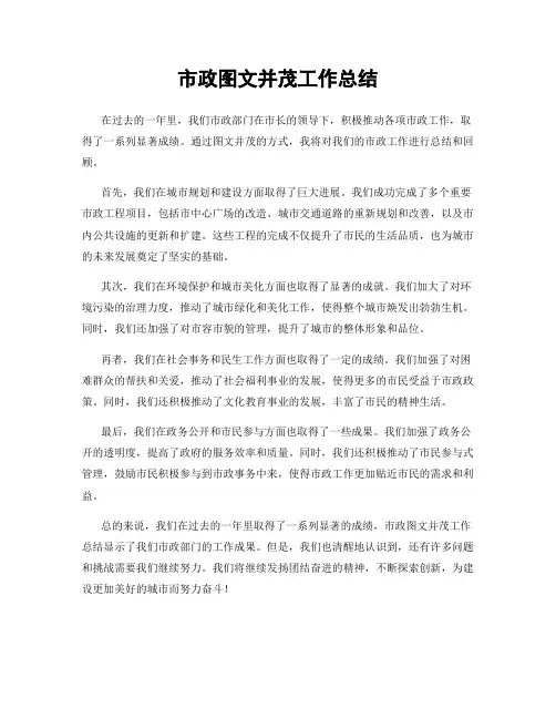 市政图文并茂工作总结