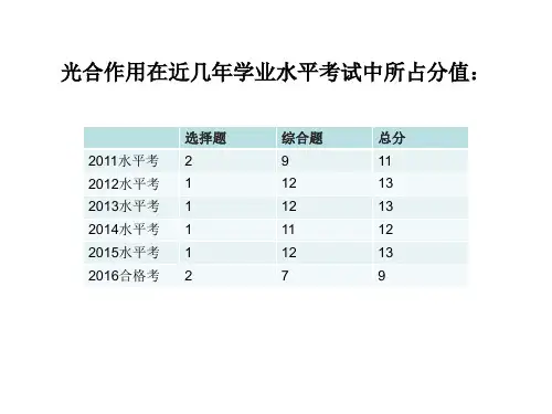 光合作用专题复习ppt课件