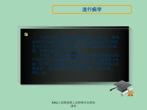 EAU上尿路尿路上皮肿瘤诊治指南课件