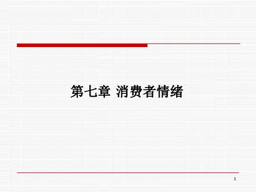 消费者行为学第七章消费者情绪PPT课件