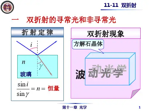 《物理学》第六版-马文蔚ppt 第11章  光学 11-11双折射