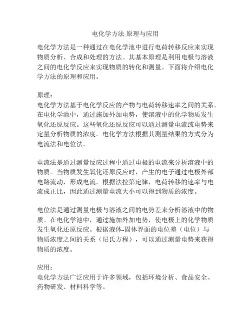 电化学方法 原理与应用