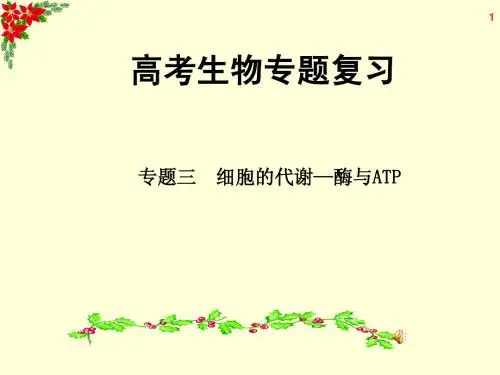 高考生物专题复习 专题3 细胞的代谢—酶与ATP
