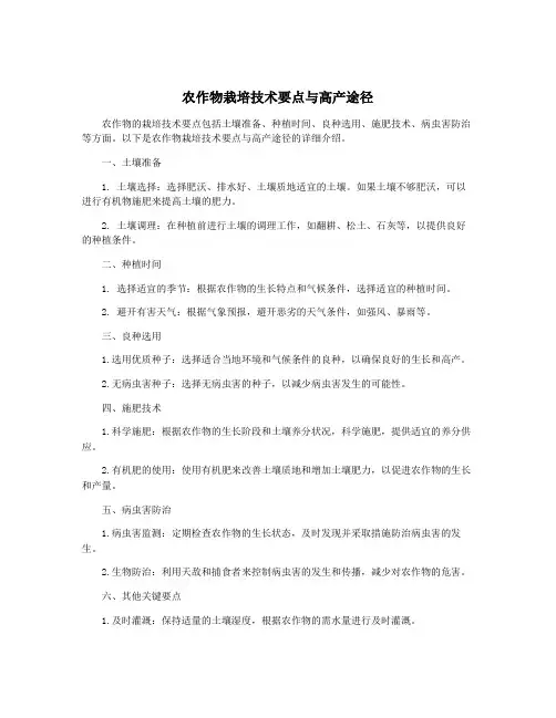 农作物栽培技术要点与高产途径
