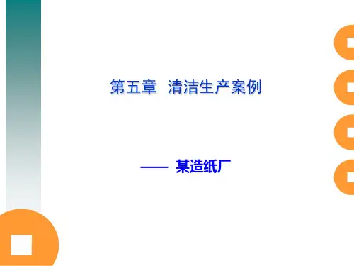 第5章 清洁生产安全分析——某造纸厂20111122