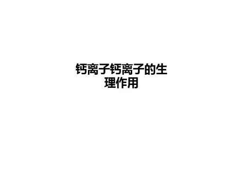 钙离子钙离子的生理作用PPT课件
