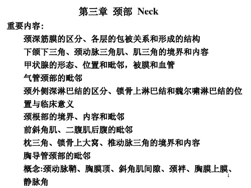 临床医学五年制局部解剖学课件颈部