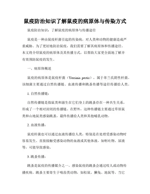 鼠疫防治知识了解鼠疫的病原体与传染方式