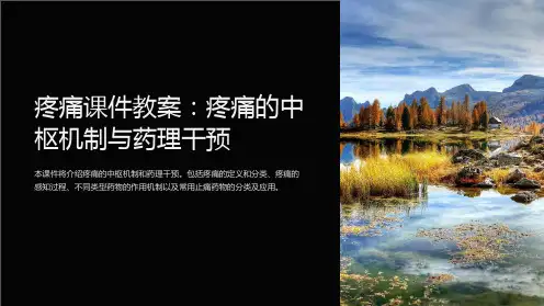 疼痛课件教案：疼痛的中枢机制与药理干预