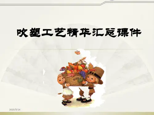 吹塑工艺精华汇总课件
