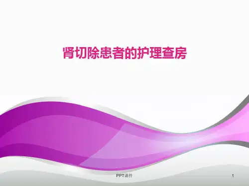 肾切除术后患者的护理查房  ppt课件