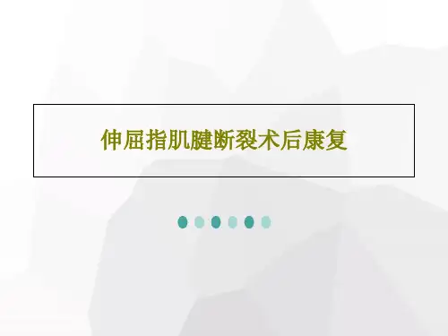 伸屈指肌腱断裂术后康复42页PPT