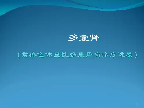 多囊肾参考幻灯片