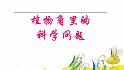 植物角里的科学问题ppt课件